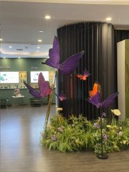 -苏州奥拉克美容医院