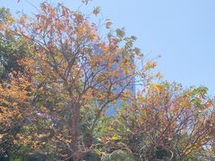 -UP健身私教馆(海岸城店)