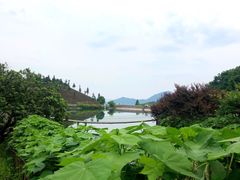 -天地生态农庄