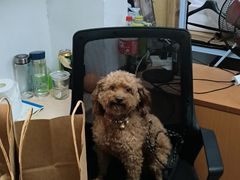 -国际饭店·帆声西饼屋(黄河路店)