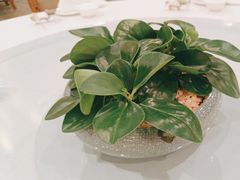 -白云中餐厅·粤菜·亚龙湾喜来登度假酒店