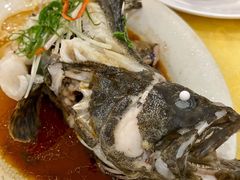 清蒸龙胆石斑-莲花公园煎蟹(总店)