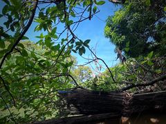 -梧桐山风景名胜区