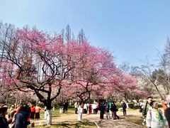 -钱王祠
