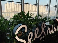 -Seesaw Coffee(朝阳大悦城店)