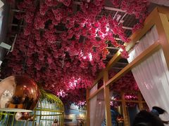 -椰贝原味椰子鸡(高新万达店)