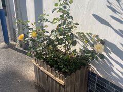 -上海市奉贤区奉城镇敬老院(洪天奉城分院)