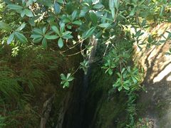 -武夷山风景名胜区-虎啸岩