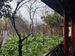 -南汇桃花村