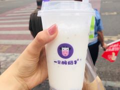 -一只酸奶牛(八一路店)