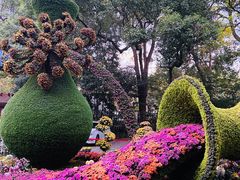 -杭州植物园