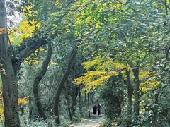 -杭州半山国家森林公园