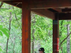 -青龙山国家森林公园