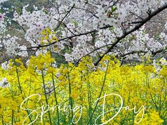 -苏州上方山国家森林公园