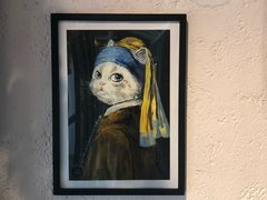 -喵屿·大理花园猫咖