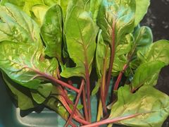 -蒋记海鲜姿造•洋房别墅(星河湾店)