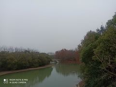 -上海海湾国家森林公园