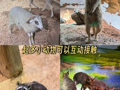 -正佳极地海洋世界