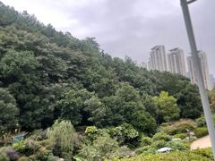 -桃花岭景区