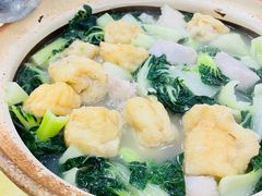 沙白芋头豆腐卜煲白菜-阿四台山黄鳝饭(东门店)