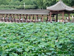 -龙头寺公园
