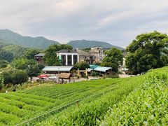-听风阁农家私房菜茶楼(龙坞店)