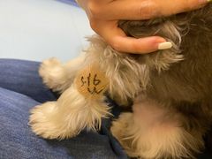 -萌兽医馆·犬猫专科·眼科中心·宠物医院(朝阳门分院)
