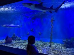 -太平洋海底世界