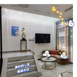 -北京丽星翼美医疗美容