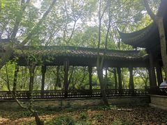 -上海佘山国家森林公园天马山园