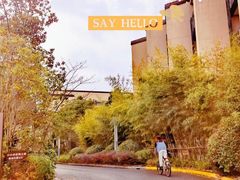 -上海崇明金茂凯悦酒店