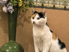 -大象厨房(重庆道店)