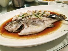 -顺风海鲜港(长寿路店)