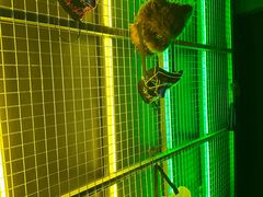 -暗楼·剧本杀·桌游