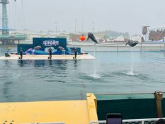 -秦皇岛乐岛海洋王国