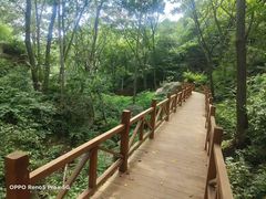 -大岭沟猕猴桃谷风景区