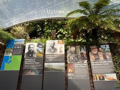 -怀托摩萤火虫洞