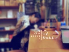 -猫的天空之城概念书店(西塘古镇店)