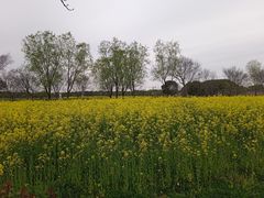 -嘉北郊野公园
