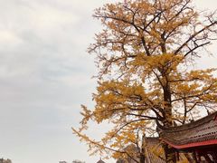 -金堂县云顶石城风景区