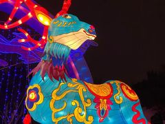 -武汉园博园(武汉自然博物馆)