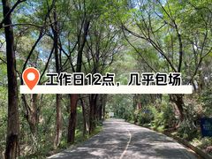 -番禺大夫山森林公园