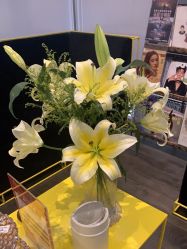 -崇尚GAVIN STYLE臻选