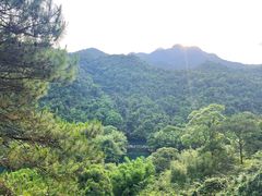 -鼎湖山风景区