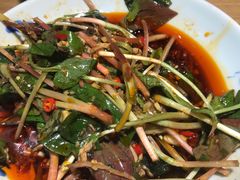 -蜀宴小调·精致家常菜(科华店)