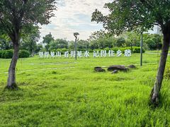 -飞来湖湿地公园