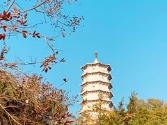 -深圳国际园林花卉博览园