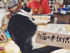 -猫的天空之城概念书店(杭州南宋御街店)