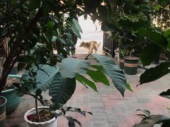 -豆舞咖啡(民乐路店)