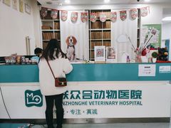 -美联众合爱康动物医院•复杂内科•肿瘤科•牙科•腔镜诊疗中心